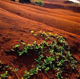 《堡垒之夜》将完美适配switch2 支持鼠标模式与60帧